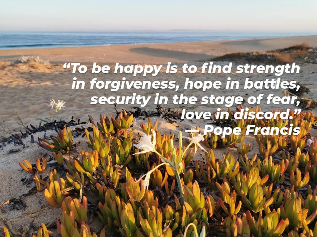 A vibrant flower growing from the sand on a Portuguese beach — symbolising emotional resilience, growth through adversity, and the 1% daily happiness habit.