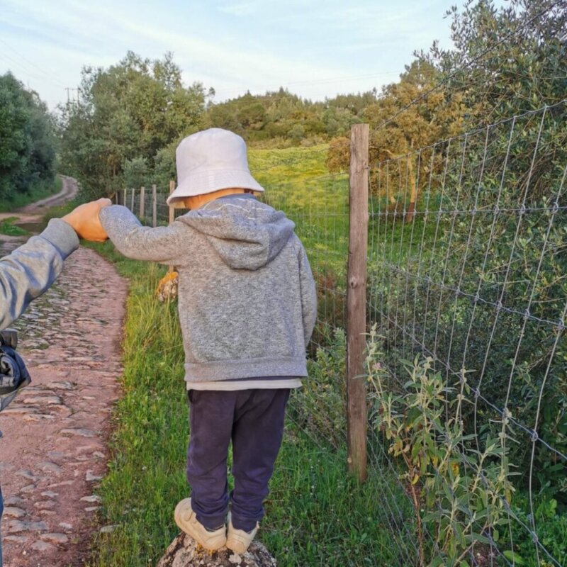 Adult and Gen Alpha child walking hand-in-hand at sunset — a mindful walking practice that builds presence, trust, and emotional intelligence.